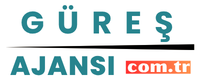guresajansi.com.tr